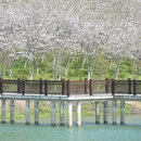 宁波旅游 缩略图 5