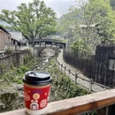 宁波旅游 缩略图 1