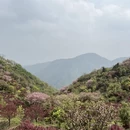 宁波旅游 缩略图 2