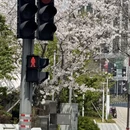 宁波旅游 缩略图 5