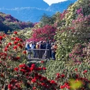 毕节旅游 缩略图 4