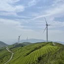 宁波旅游 缩略图 10