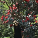 毕节旅游 缩略图 14