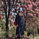 毕节旅游 缩略图 16