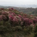 毕节旅游 缩略图 15