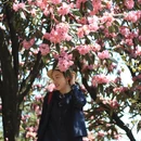 毕节旅游 缩略图 15