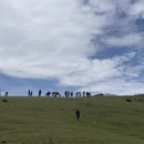 毕节旅游 缩略图 3