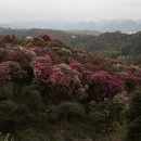 毕节旅游 缩略图 16