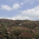 毕节旅游 缩略图 18