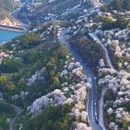 宁波旅游 缩略图 2