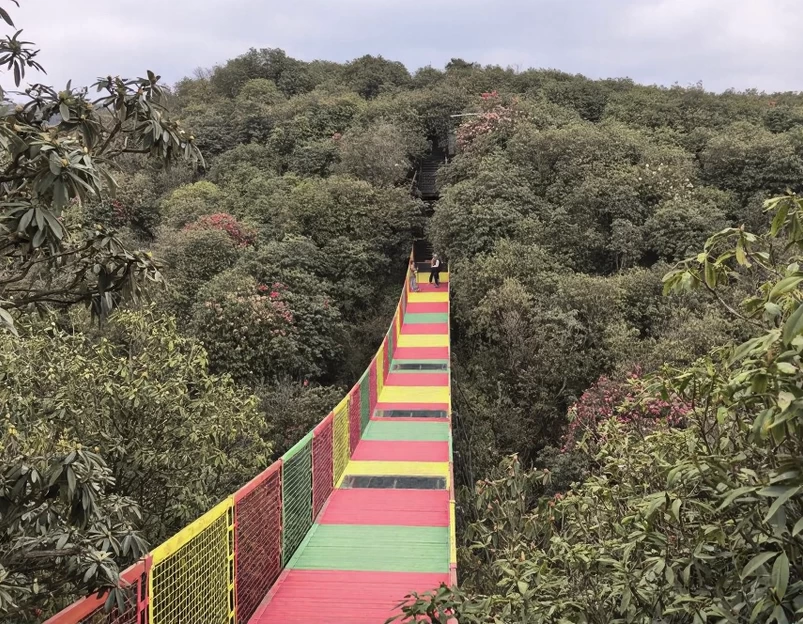 毕节旅游 1