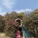 遵义旅游 缩略图 3