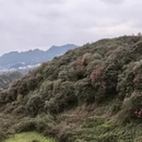 毕节旅游 缩略图 3