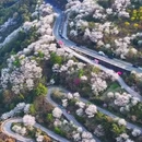 宁波旅游 缩略图 1