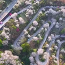 宁波旅游 缩略图 3