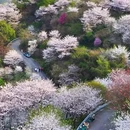 宁波旅游 缩略图 5