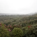 毕节旅游 缩略图 5