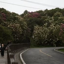 毕节旅游 缩略图 4