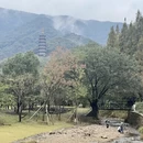 宁波旅游 缩略图 11