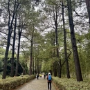 宁波旅游 缩略图 12