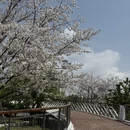 宁波旅游 缩略图 7