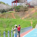 宁波旅游 缩略图 16