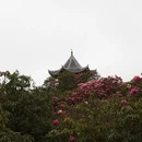 毕节旅游 缩略图 6