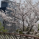 宁波旅游 缩略图 9