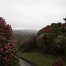毕节旅游 缩略图 8