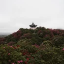 毕节旅游 缩略图 9
