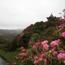 毕节旅游 缩略图 7