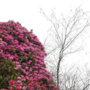 毕节旅游 缩略图 12