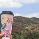 毕节旅游 缩略图 12