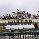 毕节旅游 缩略图 2