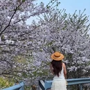 宁波旅游 缩略图 4