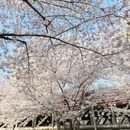 宁波旅游 缩略图 5