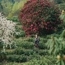 毕节旅游 缩略图 4