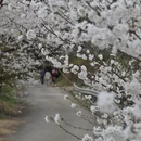宁波旅游 缩略图 2