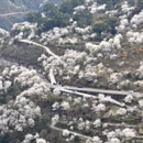 宁波旅游 缩略图 1