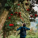 毕节旅游 缩略图 3