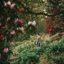 毕节旅游 缩略图 6