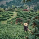 毕节旅游 缩略图 5