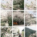 宁波旅游 缩略图 1