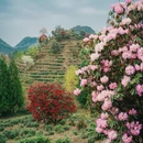 毕节旅游 缩略图 9