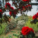 毕节旅游 缩略图 8