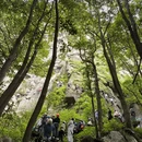 宁波旅游 缩略图 5