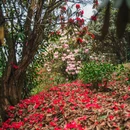 毕节旅游 缩略图 7