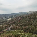 毕节旅游 缩略图 3