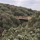 毕节旅游 缩略图 8