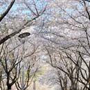 宁波旅游 缩略图 4
